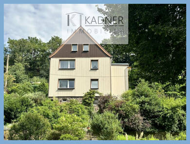 Mehrfamilienhaus zum Kauf 60.000 € 6 Zimmer 154 m² 1.383 m² Grundstück Steinberg 2 a Vielau Reinsdorf 08141