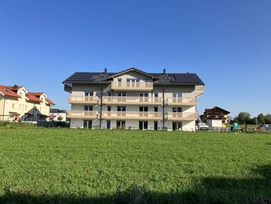 Wohnung zur Miete 986 € 2 Zimmer 50,5 m² EG frei ab 01.10.2025 Wals-Siezenheim 5071