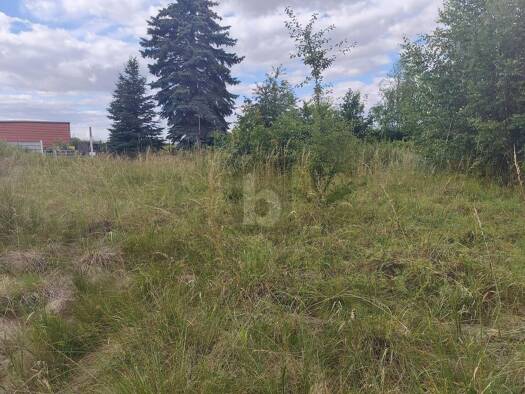 Grundstück zum Kauf 90.000 € 1.500 m² Grundstück Gröppendorf Wermsdorf 04779