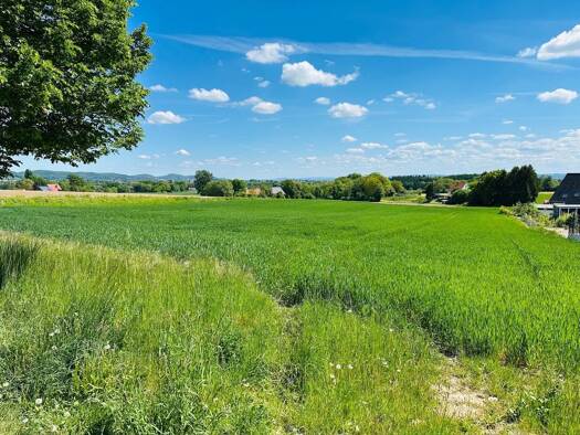 Land-/Forstwirtschaft zum Kauf 115.000 € 17.672 m² Grundstück Hüllhorst Hüllhorst 32609
