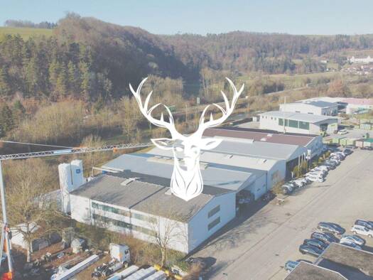 Produktionshalle zum Kauf 1.649.000 € 2.505 m² Lagerfläche Degernau Wutöschingen 79793