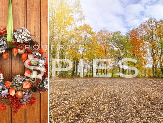 Grundstück zum Kauf 249.000 € 3.519 m² Grundstück Garlstedt Osterholz-Scharmbeck 27711