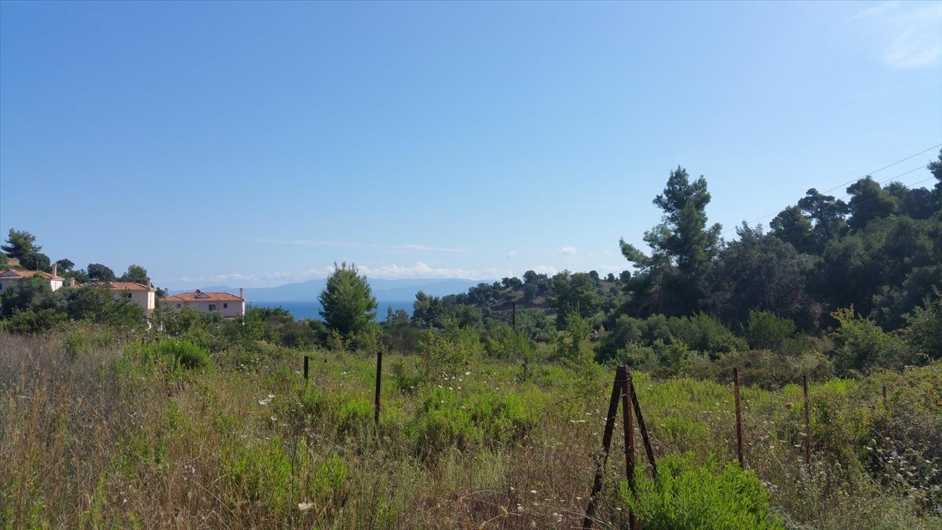 Land-/Forstwirtschaft zum Kauf 250.000 € 9.000 m²<br/>Grundstück Chalkidiki