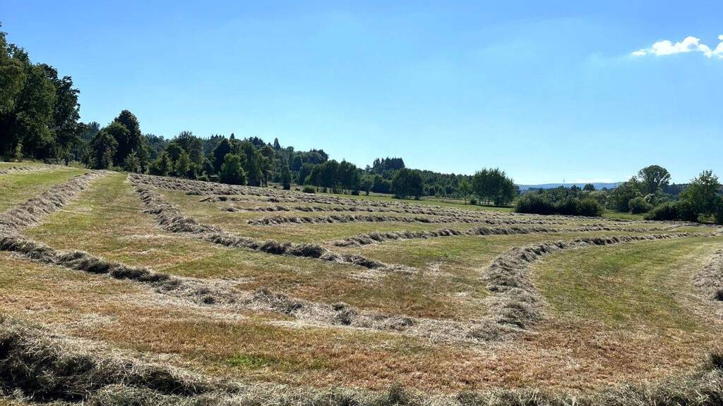 Reiterhof zum Kauf 240.000 € 36.100 m² Grundstück Grebenhain 36355