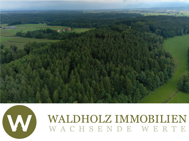 Forstwirtschaft zum Kauf 255.000 € 30.000 m² Grundstück Heufeldmühle Bruckmühl 83052