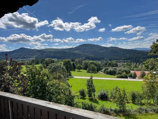 Wohnung zur Miete 500 € 2 Zimmer 60 m² Geschoss 1/2 frei ab sofort Unterlohwies Bodenmais 94249