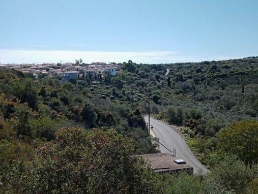 Grundstück zum Kauf 175.000 € 5.000 m² Grundstück Dimos Meganisiou 31034