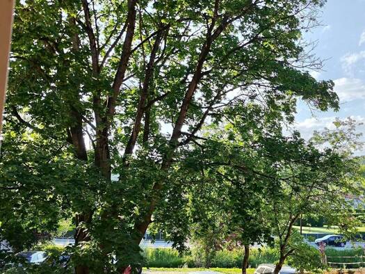 Wohnung zur Miete 725 € 2 Zimmer 61,3 m² Eggersdorf bei Graz 8063