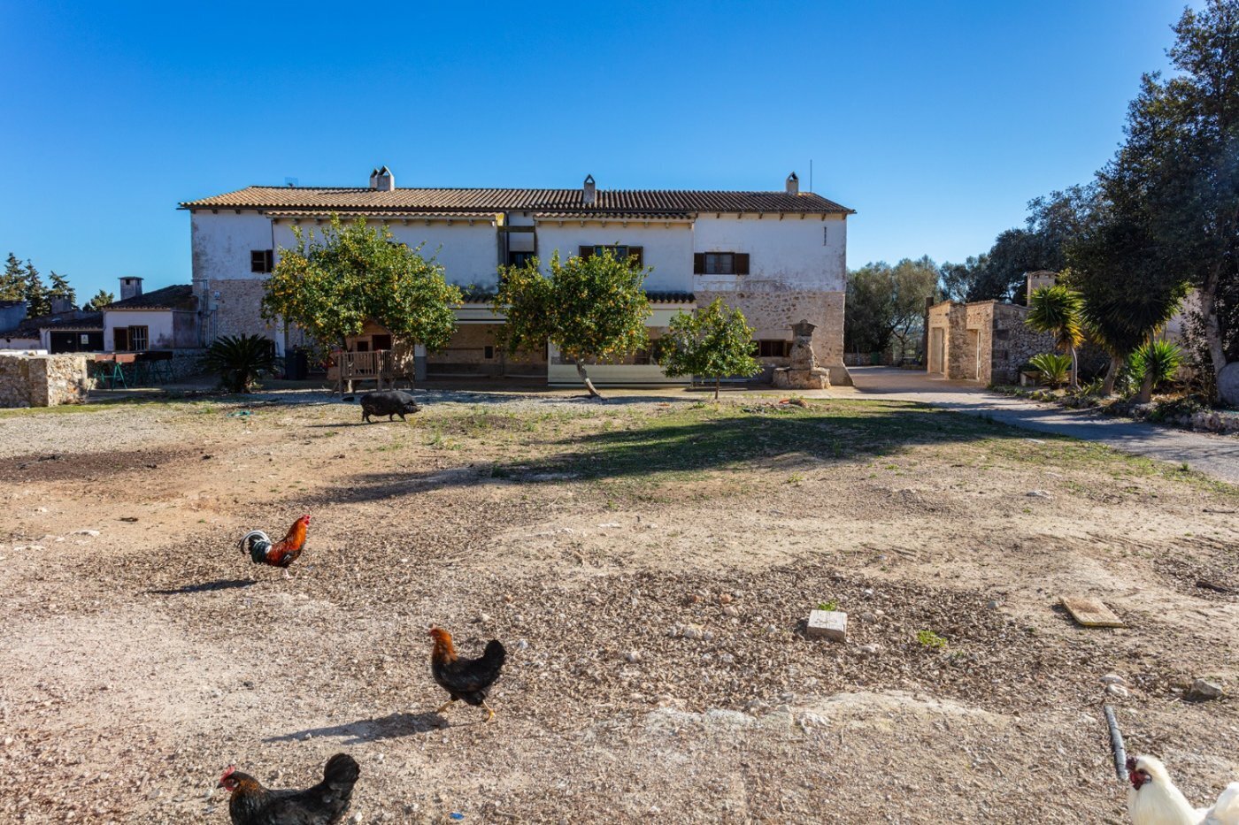 Finca zum Kauf provisionsfrei 3.800.000 € 10 Zimmer 898,9 m²<br/>Wohnfläche 50.000 m²<br/>Grundstück Polígono 1 Parcela 155 Lloret de Vistalegre 07518