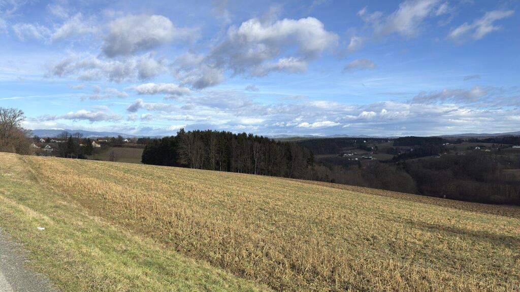 Grundstück zum Kauf 115.000 € 9.523 m² Grundstück Litzelsdorf 7532