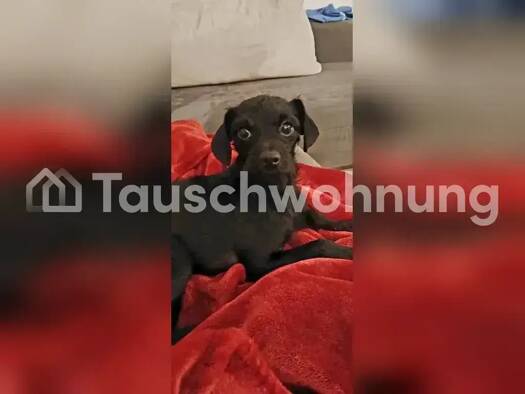 Wohnung zur Miete Tauschwohnung 600 € 3 Zimmer 65 m² Hagsfeld Karlsruhe 76139