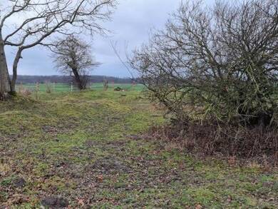 Grundstück zum Kauf 2.168.900 € 52.900 m² Grundstück Neu Thulendorf Thulendorf 18184