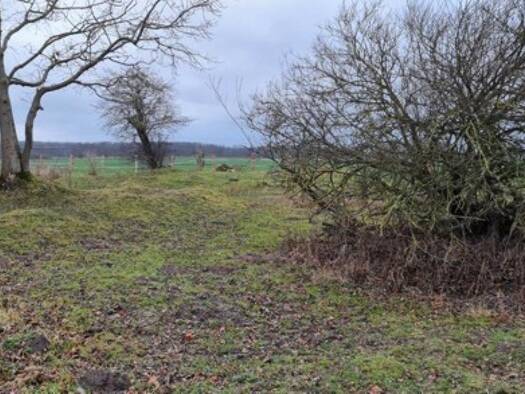 Grundstück zum Kauf 2.168.900 € 52.900 m² Grundstück Neu Thulendorf Thulendorf 18184