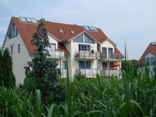 Wohnung zum Kauf 99.000 € 1 Zimmer 49 m² 1. Geschoss Brandis Brandis 04821