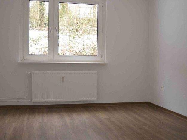 Wohnung zur Miete 336 € 2 Zimmer 46 m² frei ab 27.02.2026 Düppelstraße 16 Lüdenscheid 58511