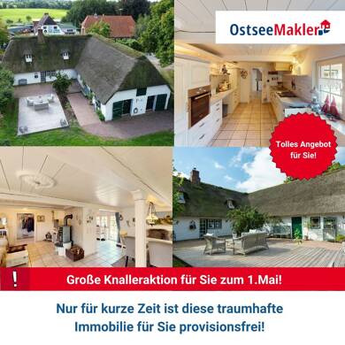 Mehrfamilienhaus zum Kauf 449.000 € 6 Zimmer 210 m² 3.210 m² Grundstück Holm 25923