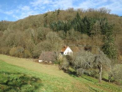 Bauernhaus zum Kauf 249.000 € 7 Zimmer 160 m² 8.887 m² Grundstück Allemühl Schönbrunn 69436