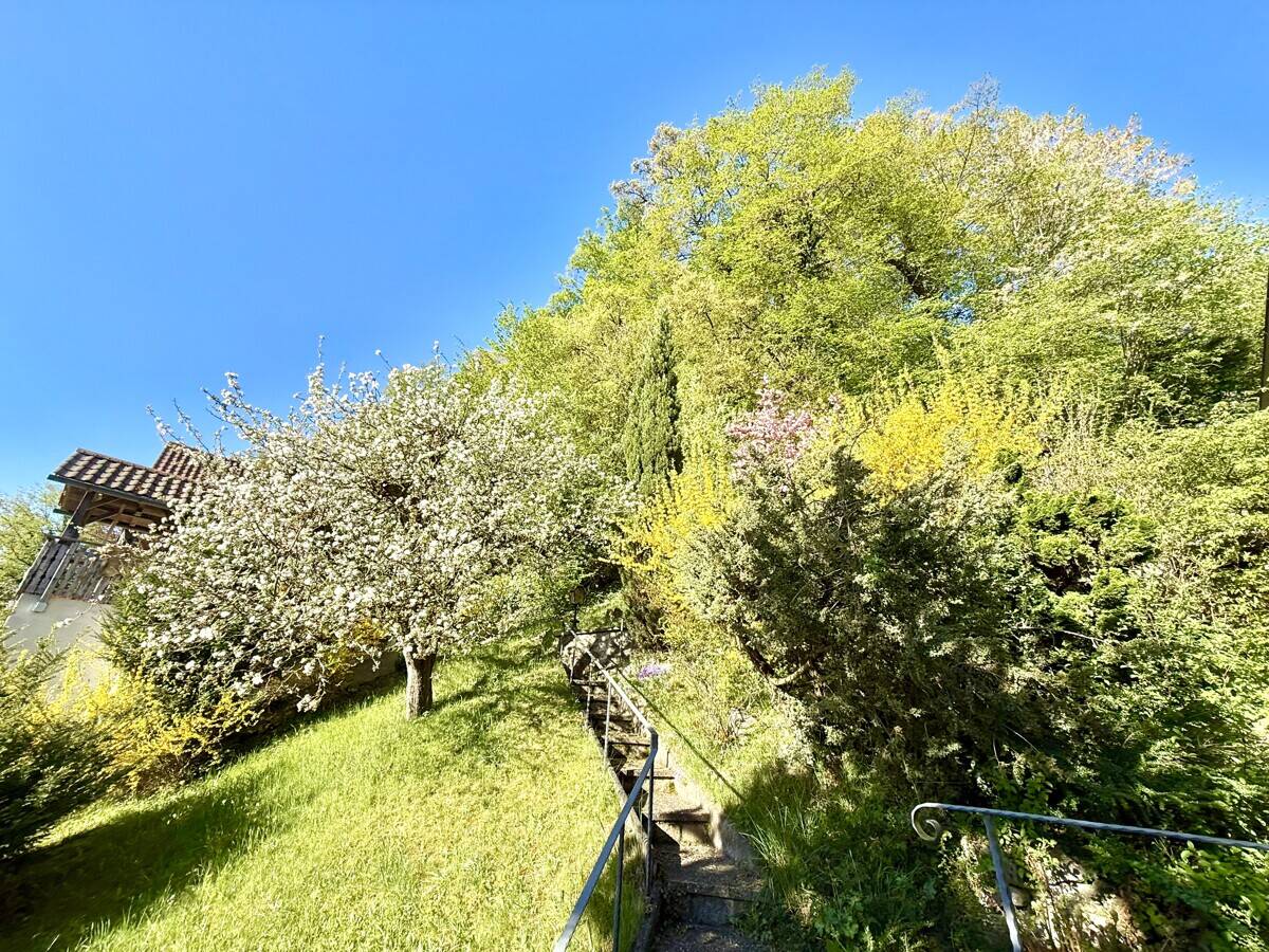 Einfamilienhaus zum Kauf - Mehr