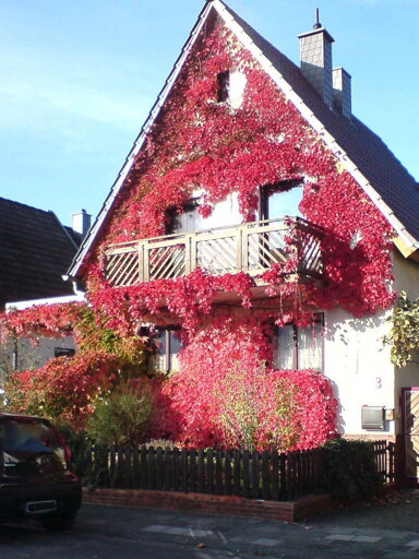 Einfamilienhaus zum Kauf provisionsfrei 395.000 € 5 Zimmer 140 m² 499 m² Grundstück Haßloch 67454