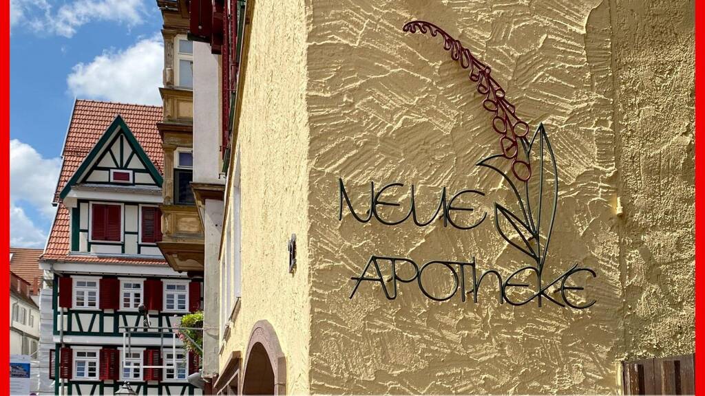 Mehrfamilienhaus zum Kauf 795.000 € 13 Zimmer 432 m² 346 m² Grundstück Calw 75365