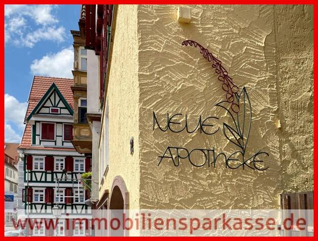 Mehrfamilienhaus zum Kauf 795.000 € 13 Zimmer 432 m² 346 m² Grundstück Kernstadt Calw 75365