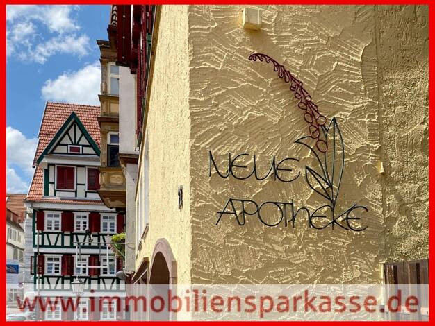 Mehrfamilienhaus zum Kauf 795.000 € 13 Zimmer 432 m² 346 m² Grundstück Calw Calw 75365