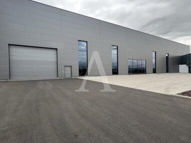 Halle/Industriefläche zur Miete 1.599 m² Lagerfläche teilbar ab 1.599 m² Wesseling / Innenstadt Wesseling 50389