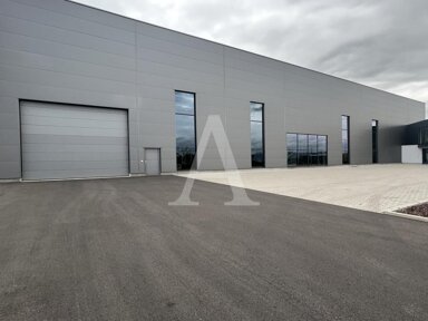 Halle/Industriefläche zur Miete 1.599 m² Lagerfläche teilbar ab 1.599 m² Wesseling / Innenstadt Wesseling 50389