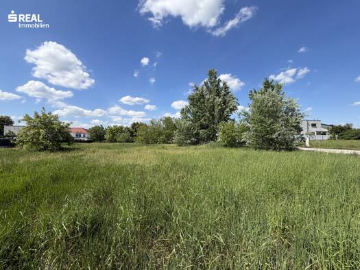 Grundstück zum Kauf 300.370 € 613 m² Grundstück Neusiedl am See 7100
