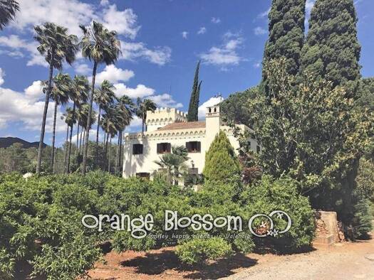 Villa zum Kauf 1.790.000 € 7 Zimmer 1.300 m² 2.948.700 m² Grundstück Gandia 46728