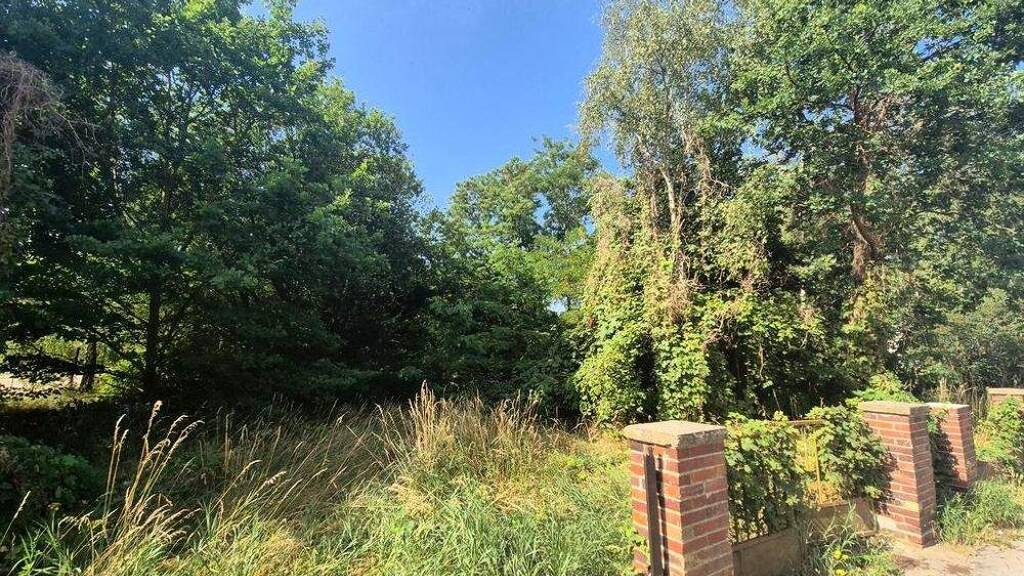 Grundstück zum Kauf provisionsfrei 12.350 € 1.925 m² Grundstück Forst-Stadt Forst (Lausitz) 03149