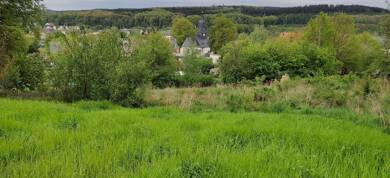 Grundstück zum Kauf provisionsfrei 140.410 € 2.369 m² Grundstück Flöha Flöha 09557