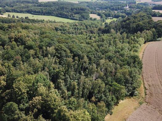 Forstwirtschaft zum Kauf 244.000 € 203.232 m² Grundstück Zinnberg Penig 09322