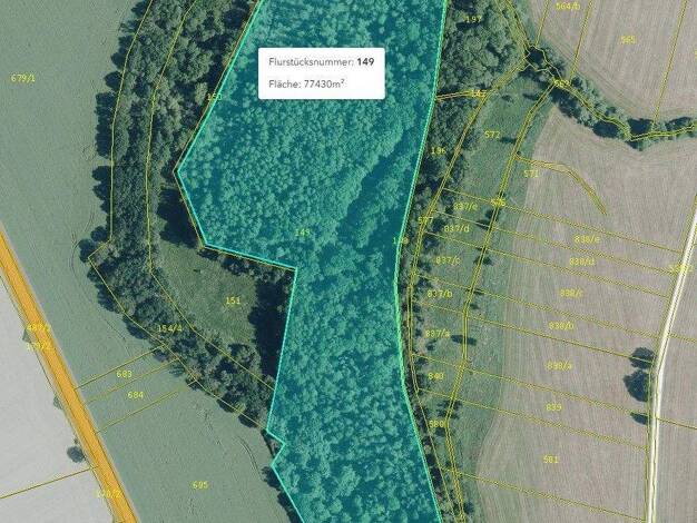 Forstwirtschaft zum Kauf provisionsfrei 163.358 € Ziegeleiweg Kossen Jesewitz 04838