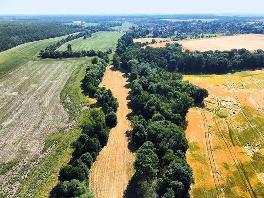 Grundstück zum Kauf 26.000 € 19.076 m² Grundstück Waltersdorf Meuselwitz 04610