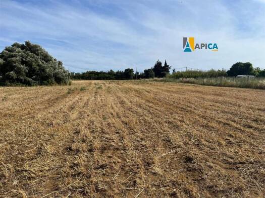 Acker-/Waldstück zum Kauf 185.000 € Conil de la Frontera 11140