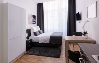 Wohnung zur Miete Wohnen auf Zeit 1.290 € 1 Zimmer 24 m² frei ab 22.12.2024 Brunnen Straße Mitte Berlin 10119