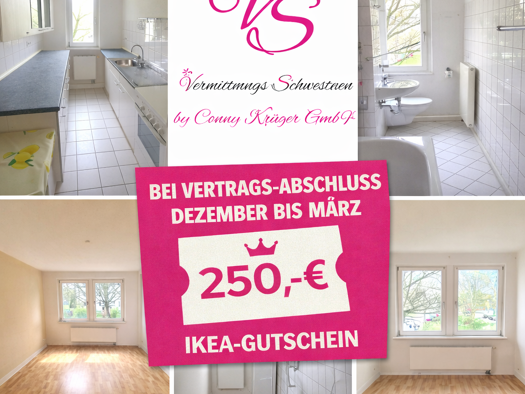 Wohnung zur Miete 272 € 2 Zimmer 47,1 m² 3. Geschoss Geibelstraße 105 Gablenz Chemnitz 09127