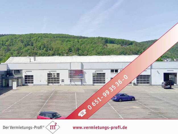 Werkstatt zur Miete 6.480 € 1.080 m² Lagerfläche Trier / Euren 54294
