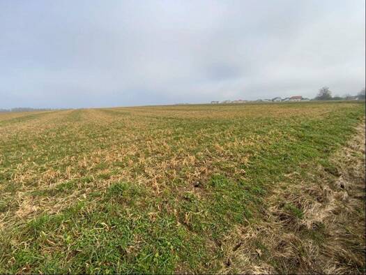 Landwirtschaftliche Fläche zum Kauf 342.000 € 33.679 m² Grundstück Irlahüll Kipfenberg 85110