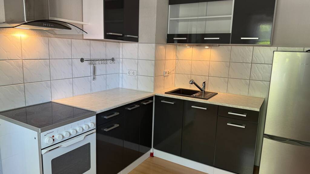 Wohnung zur Miete 270 € 2 Zimmer 45 m² EG Dittesstraße 16 Oberplanitz Zwickau 08064