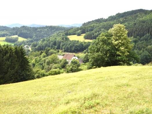 Bauernhaus zum Kauf 7 Zimmer 230 m² 120.997 m² Grundstück frei ab 01.08.2026 Waldhausen im Strudengau 4391
