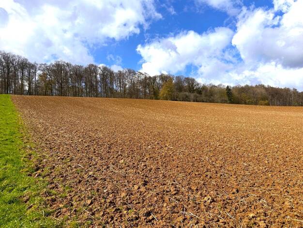 Landwirtschaftliche Fläche zum Kauf 150.000 € 37.377 m² Grundstück Zellingen 97225