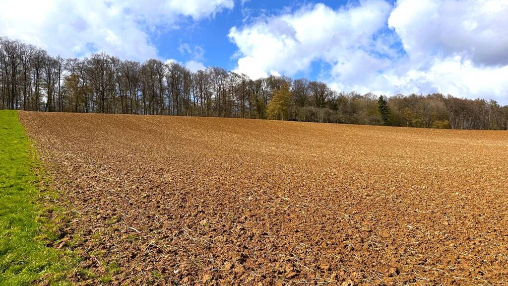 Landwirtschaftliche Fläche zum Kauf 150.000 € 37.377 m² Grundstück Zellingen 97225