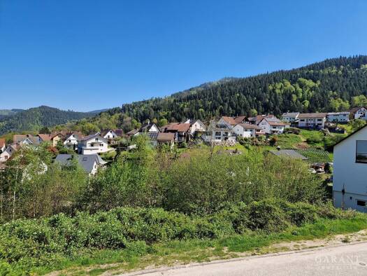 Grundstück zum Kauf 74.000 € 628 m² Grundstück Langenbrand Forbach 76596
