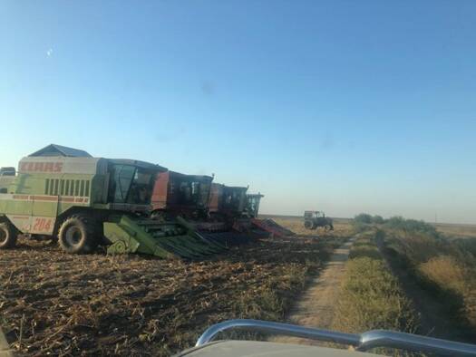 Haus zum Kauf 7.500.000 € 5 Zimmer 500 m² 9.999.999 m² Grundstück Gurahont 317153