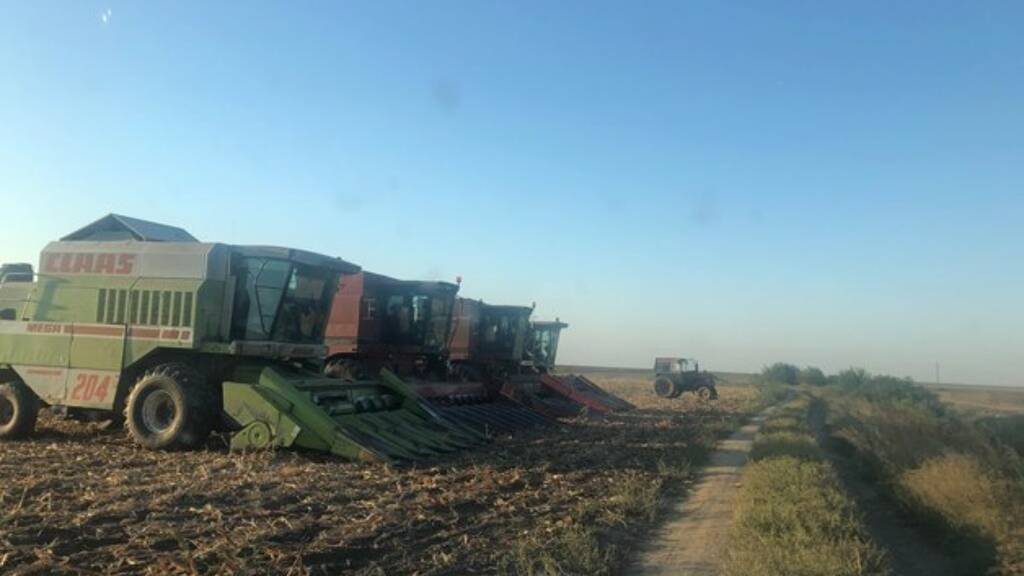 Haus zum Kauf 7.500.000 € 5 Zimmer 500 m² 9.999.999 m² Grundstück Gurahont 317153