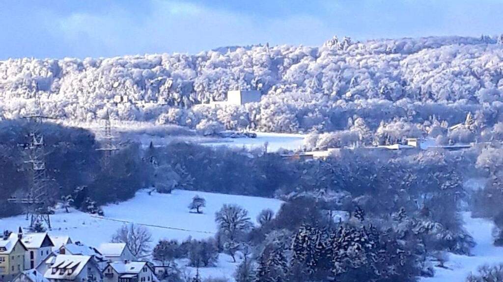 Mehrfamilienhaus zum Kauf 725.000 € 9 Zimmer 273 m² 712 m² Grundstück Niederjosbach Eppstein 65817