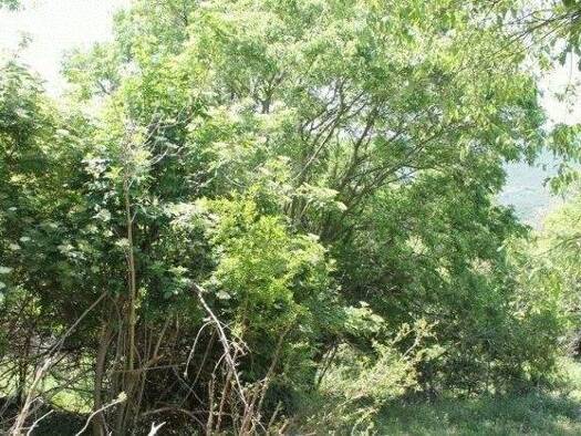 Grundstück zum Kauf 26.000 € 500 m² Grundstück Kreis Bar 85000