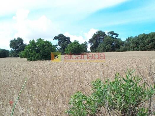 Grundstück zum Kauf 47.000 € 8.822 m² Grundstück Muro 07440